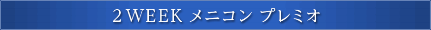 2weekメニコンプレミオ 