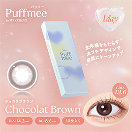 パフミーワンデー ショコラブラウン 10枚入り（×4箱）